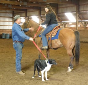 Cow Dog Clinic 2011