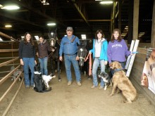 cowdog clinic