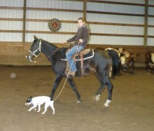 cowdog clinic