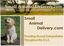 Small Animal Delivery